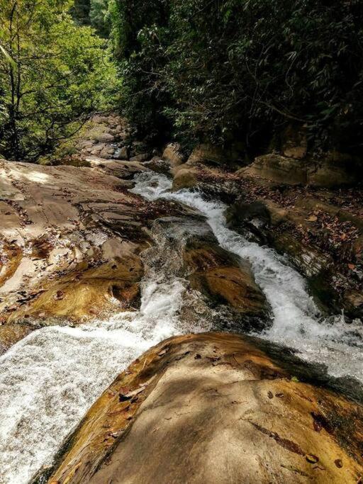 Chale Da Lua Natureza Cachoeira Paz Pirenópolis