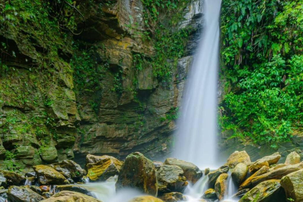Сasa de vacaciones Chale Da Lua Natureza Cachoeira Paz *